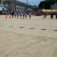 犬山市立羽黒小学校の写真