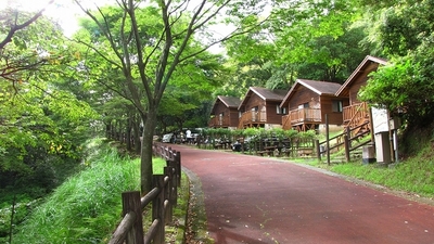 鹿児島県県民の森オートキャンプ場 鹿児島県霧島市溝辺町有川 キャンプ場 Yahoo ロコ