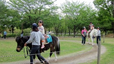 ネーブルパーク ポニー牧場 茨城県古河市駒羽根 Yahoo ロコ
