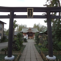 八幡宮・鷺宮若宮・江古田氷川神社の写真