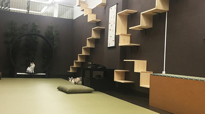 猫喫茶 空陸家 平塚ユーユー本館店 神奈川県平塚市紅谷町 テーマカフェ Yahoo ロコ