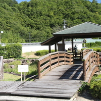 鶴姫公園の写真