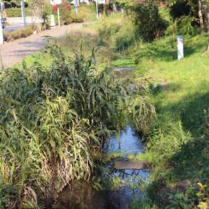 清瀬せせらぎ公園 東京都清瀬市中里 Yahoo ロコ