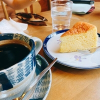樹林の写真