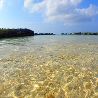 大籠海水浴場の写真