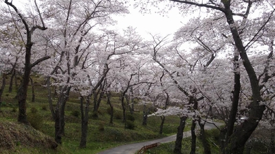 羽黒山公園 大崎市 宮城県大崎市松山千石 Yahoo ロコ