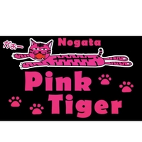 Pink Tigerの写真