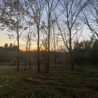 Sakura Bushcraft Fieldの写真