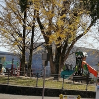 北城山街区公園の写真