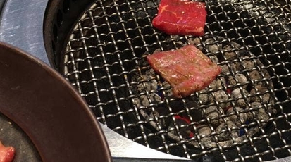 焼肉トラジ 豊洲店 東京都江東区豊洲 焼肉 Yahoo ロコ