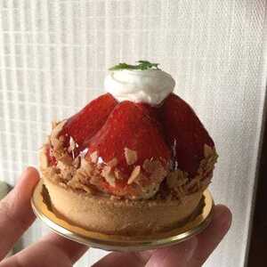 木の実西洋菓子処 富岡本店 群馬県富岡市富岡 ケーキ Yahoo ロコ