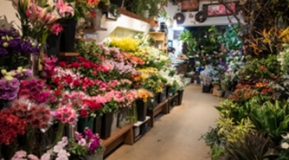 フラワーショップ旭屋 中央店 神奈川県横須賀市大滝町 生花店 Yahoo ロコ