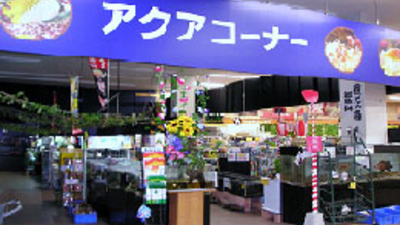 Aqua Proshop マナウス新習志野店 千葉県習志野市茜浜 総合熱帯魚ショップ Yahoo ロコ