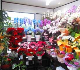 花樹園 静岡県駿東郡長泉町下土狩 フラワーショップ Yahoo ロコ