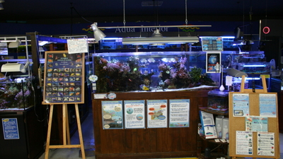 アクアショップ Area 港南台店 神奈川県横浜市港南区港南台 総合熱帯魚ショップ Yahoo ロコ