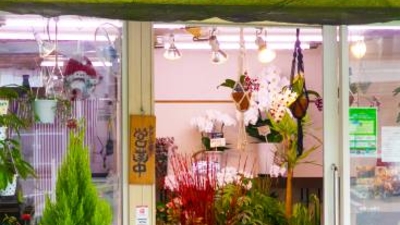 有限会社すずき花店 岡山県備前市日生町日生 園芸用品店 Yahoo ロコ