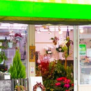 有限会社すずき花店 岡山県備前市日生町日生 園芸用品店 Yahoo ロコ