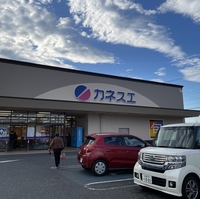 カネスエ 浅田店の写真