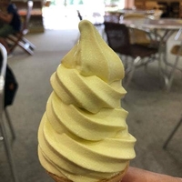 かふぇ ムーの写真