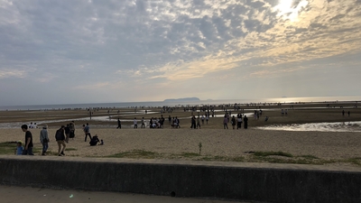 長浜海水浴場 愛媛県大洲市長浜町沖浦 海水浴場 Yahoo ロコ