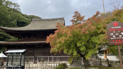功山寺 山口県下関市長府川端 紅葉 Yahoo ロコ