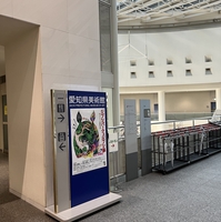 愛知県美術館の写真