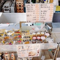 榊原豆腐店の写真