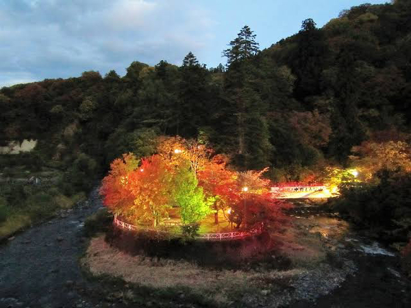 中野もみじ山の説明