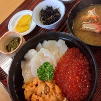 東光の写真