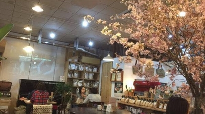 Tottori Coffee Roaster 鳥取県鳥取市商栄町 カフェ Yahoo ロコ