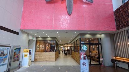 スターバックスコーヒー 横浜ベイクォーター店 神奈川県横浜市神奈川区金港町 カフェ Yahoo ロコ