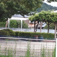 大島公園プールの写真
