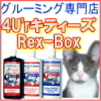 4U'rキティーズREX-BOXの写真
