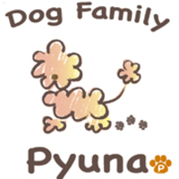DogFamily・Pyunaの写真