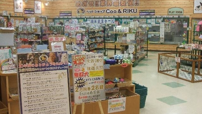 ペットショップcoo Riku 稲毛店 千葉県千葉市稲毛区長沼町 ペットショップ Yahoo ロコ