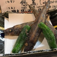 仙台旬の地魚料理 おとな飯 和の写真