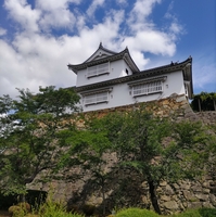 津山城(鶴山公園)の写真