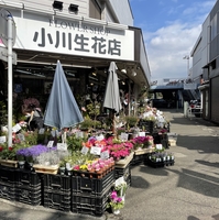 小川生花店の写真