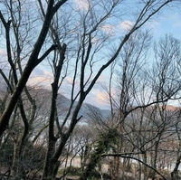 表丹沢県民の森の写真