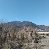 夢宿の写真