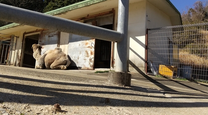 九十九島動植物園森きらら 長崎県佐世保市船越町 見る Yahoo ロコ