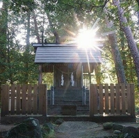 皇子原神社の写真