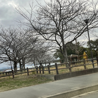 広川町運動公園の写真