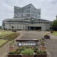 茨城県熱帯植物館の写真